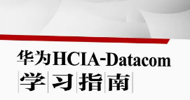 HCIA-Datacom华为官方讲师实战课程 入门进阶必看