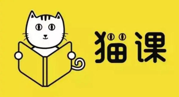 2020猫课年京东爆款运营